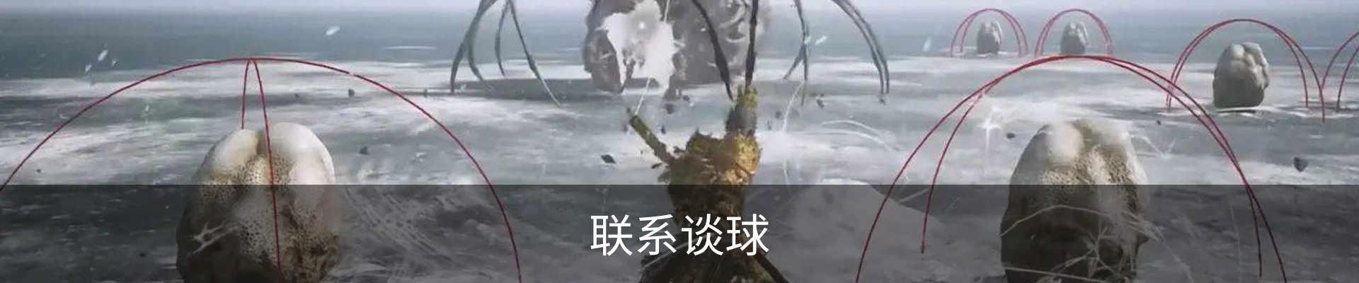 联系谈球